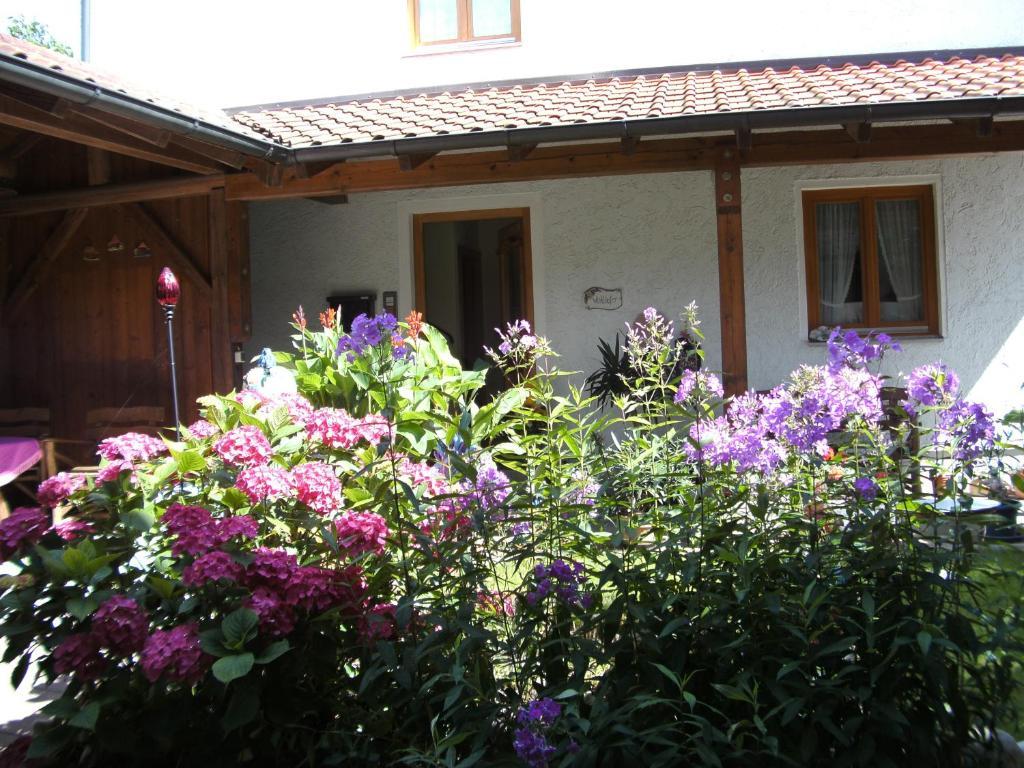 Appartementhaus Elisabeth Winklhofer Bad Füssing Szoba fotó